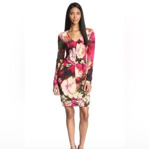Ted Baker London Floral Dress - Pink and Green